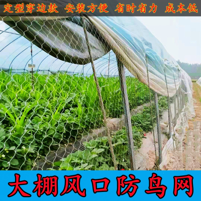 防鸟网_防鸟网推荐- 苏宁易购