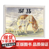 驿马硬壳精装绘本信谊图画书驿马和了解楼兰古城历史4岁5岁6岁7岁8岁亲子共读正版书了