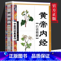 黄帝内经 [正版]全4册中医书籍大全药王孙思邈+神医华佗+医祖扁鹊+医圣张仲景中医基础理论本草纲目黄帝内经中医四大名著中