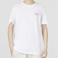 Nike/耐克短袖T恤詹姆斯运动休闲透气针织男装FD0073-100 Z