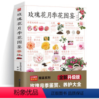 [正版]玫瑰花月季花图鉴700多种的鉴赏养护指南日本育种专家园艺大