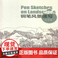 书籍正版 钢笔风景速写 汤向 武汉大学出版社 艺术 9787307154674