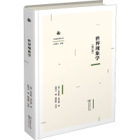 音像世界现象学(修订版)(德)克劳斯·黑尔德