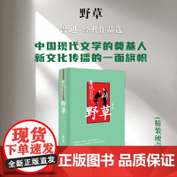 野草(精装) 中国现代文学奠基人鲁迅先生灵魂的写照 除收录初版时的23篇作品外,还附带收录作者其他文集中的部分同类作品