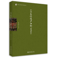 音像中国文化遗产田野案例报告/文化艺术遗产研究丛书彭兆荣