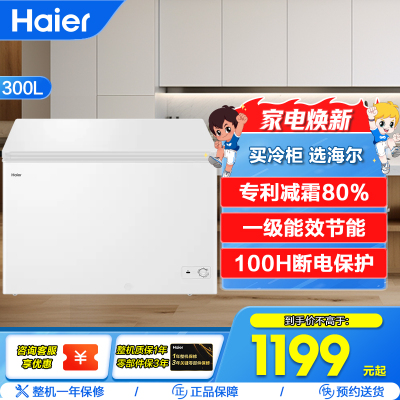海尔(Haier)300升家用卧式冰柜 冷柜 减霜80% BC/BD-300GHD
