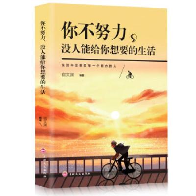 正版新书]你不努力没人能给你想要的生活宿文渊9787547251768