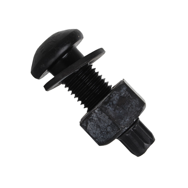 地造天成 QSLS1000 M20/70mm 螺栓(全丝)(计价单位:套)黑色