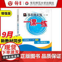 2025华东师大版一课一练七年级上册语文增强版7年级上第一学期华师大一课一练华东师范大学出版社上海初中学教辅课后辅导书沪
