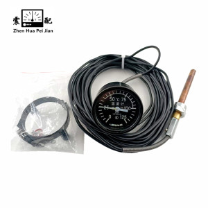 震配 电测量遥测温度仪表 WYZ-01 4级 Φ60 0-125℃(黑皮线长度定制) 块