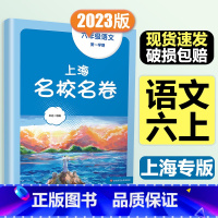 6年级上 语文 大字版 初中通用 [正版]2024春季上海名校名卷六年级七八九上册下册数学语文英语物理化学沪教版华东师大