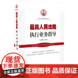 正版 人民法院执行业务指导 江必新 9787509360279 中国法制 9