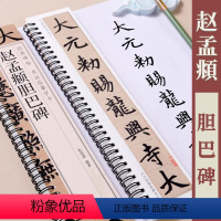 [正版]赵孟頫胆巴碑 经典碑帖书法临摹字卡 原帖元代赵体楷书毛笔书法字卡入门练字帖附简体旁注 黑龙江美术出版社