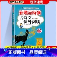 古诗文课外阅读 小学五年级 [正版]2024 新黑马阅读古诗文课外阅读五年级上下全一册小学语文5年级古文诗词文言文全解阅
