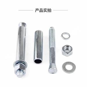 JIBIN/继彬 GB22795-表5 膨胀螺栓 碳钢 镀白锌 M27×250 个
