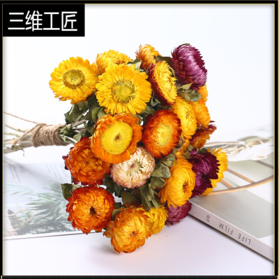 干花真花云南麦杆菊七彩菊小菊花家居装饰干花束满天星三维工匠麦秆菊彩色一束（30朵花头）干树枝