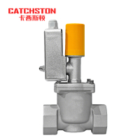 卡西斯顿 防爆电磁阀 常闭螺纹DN20 个