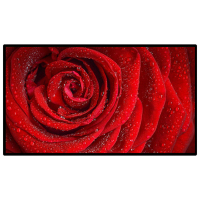 昌裕CY-XF-D6Y75 75寸壁挂广告机 信息发布显示屏