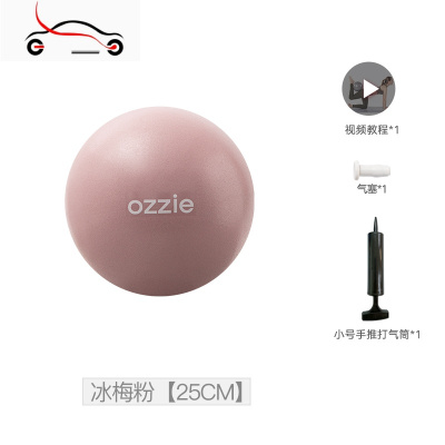 真智力迷你普拉提小球25cm瑞士球减肥小瑜伽球健身盆底肌瑜伽小球20cm