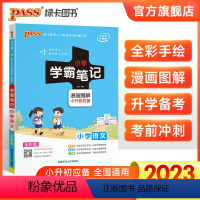 小学语文学霸笔记 小学通用 [正版]2023新版小学学霸笔记语文基础知识大全教辅书 小学毕业升学总复习全解资料 六年级小