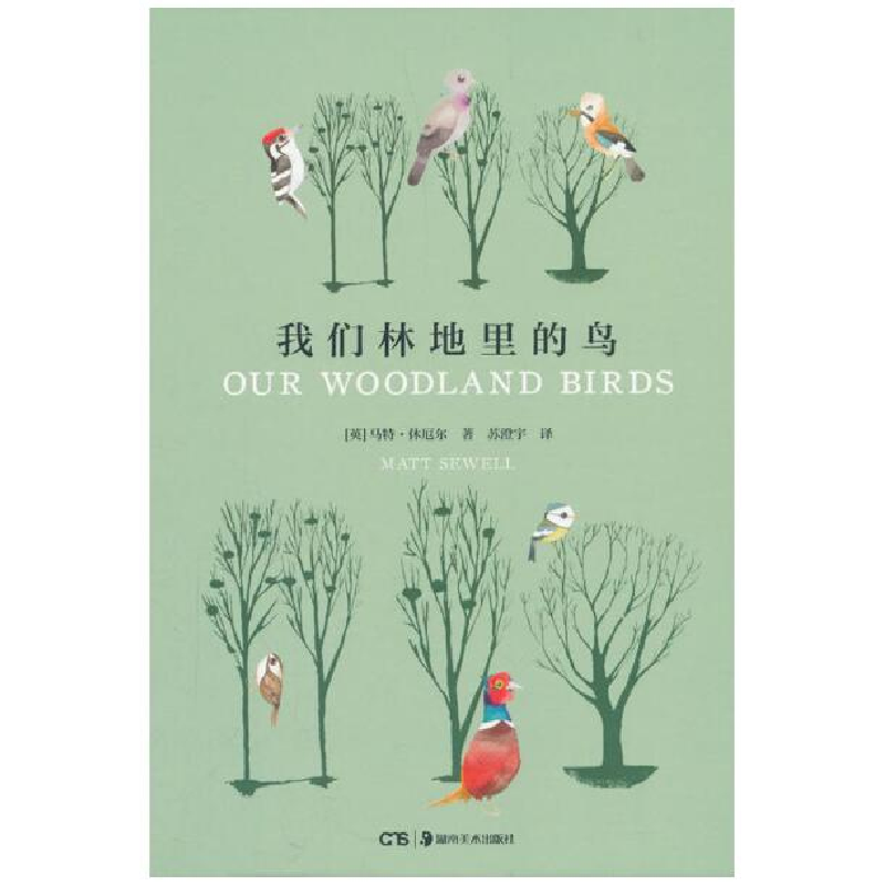 音像我们林地里的鸟(精)(英)马特·休厄尔|译者:苏澄宇