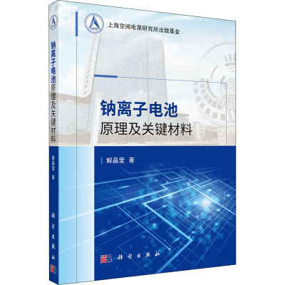 醉染图书钠离子电池原理及关键材料9787030685186
