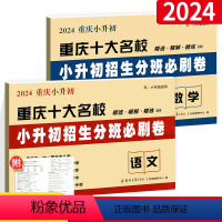 [⭐尖子生 推荐!⭐]语数 2本 小学升初中 [正版]2024新版小升初招生分班必刷卷语文数学 重庆十大名校小学升初中真
