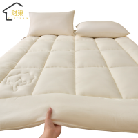 财巢 褥子120*200cm 4斤 床