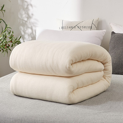 聚盛恒远新疆棉被春秋被 100%新疆精梳全棉花被棉絮四季棉花胎垫被