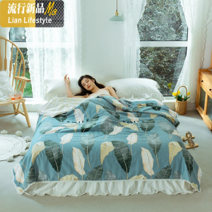 棉夏被空调被夏凉被单双人被子棉夏季可机洗儿童薄款春秋被芯 三维工匠