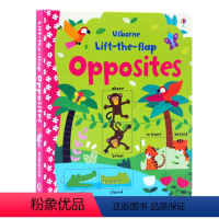 [正版]英文原版绘本 Lift The Flap Opposites 学反义词 Usborne 翻翻书 亲子读物 纸板