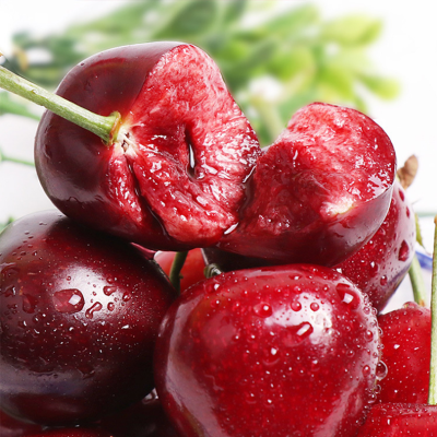 顺丰快递[熊猫鸟]美早大樱桃 JJJJ级 净重2.8斤