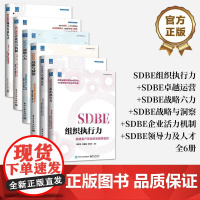 [全6册]店 SDBE组织执行力+SDBE卓越运营+SDBE战略六力+SDBE战略与洞察+SDBE企业活力机制+SDBE