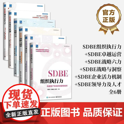 [全6册]店 SDBE组织执行力+SDBE卓越运营+SDBE战略六力+SDBE战略与洞察+SDBE企业活力机制+SDBE