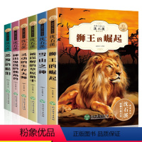 [正版]沈石溪动物小说全集6册精读版狮王的崛起 三四五六七年级中小学生课外阅读书籍3-6年级必读课外书8-9-10-1