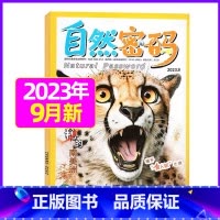 2023年9月 [正版]1-11月全年/半年订阅自然密码2023/2024年1-12月/2022年打包 科海故事博览
