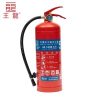 王龍手提式干粉灭火器 5千克 新国标 具