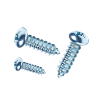 志浪 镀锌半圆头自攻钉4*20 个