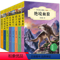 沈石溪动物小说 第二辑全8册 [正版]沈石溪动物小说全集 全56册精品书系小学生三四五六年级课外阅读书籍儿童文学系列 读