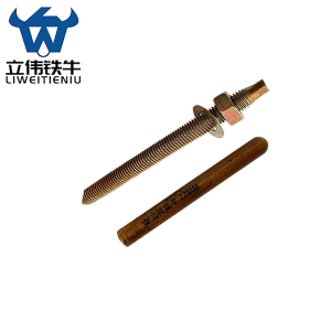 立伟铁牛化学锚栓M22×280/套