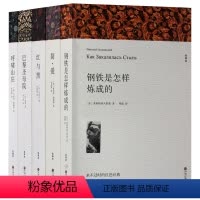 [正版]世界名著书籍青少年版 全套5册 原著 钢铁是怎样炼成的 红与黑 简爱 呼啸山庄 巴黎圣母院 全译本 初中高中学
