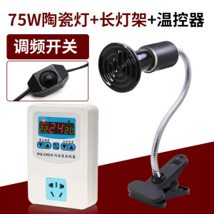 玄凤鹦鹉保暖灯鸟用加热器保温箱取暖加温恒温陶瓷暖灯窝冬天用品