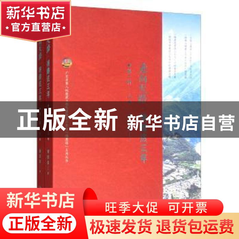 正版 走向天路:援藏这三年:第二辑 谢国高 南方日报出版社 978754