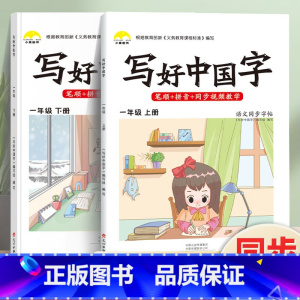 写好中国字·1年级[上册+下册]2本 [正版]荣恒2024新写好中国字字帖一二三四五六年级上下册人教版英语同步练字帖课课