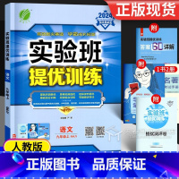 语文 九年级上 [正版]2024 实验班提优训练九年级上册语文九上人教版 初中实验班苏教版9年级上春雨同步练习册试卷一课