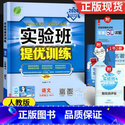 语文 九年级上 [正版]2024 实验班提优训练九年级上册语文九上人教版 初中实验班苏教版9年级上春雨同步练习册试卷一课