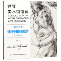 音像拥抱艺术(米开朗基罗速写作品赏析)/世界美术馆馆藏编者:陈凯