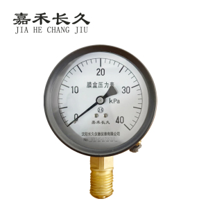 嘉禾长久 膜盒压力表检测型 YE60 块