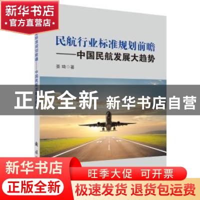 正版 民航行业标准规划前瞻:中国民航发展大趋势 綦琦著 国防工业