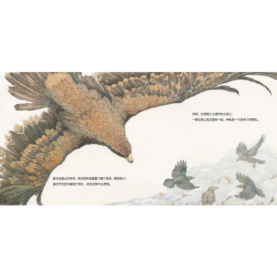 [M]了不起的金雕爸爸-9787574004511